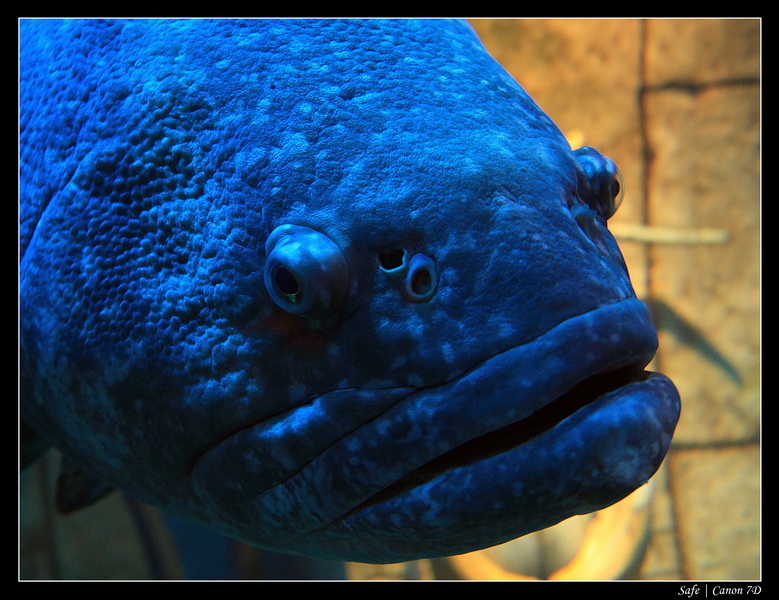 2012 - 06 - Dubai - 052